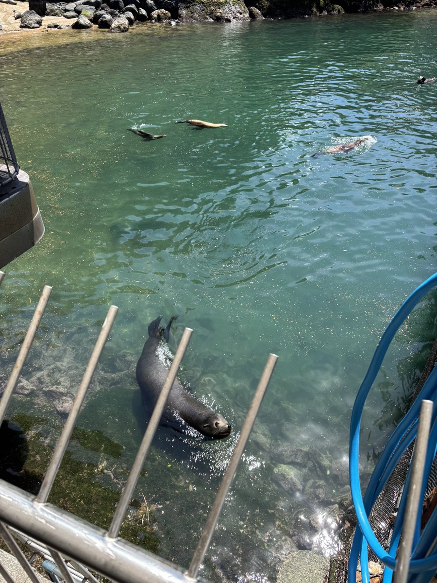 ふくろーおふ沼津の空気美味しい tweet media