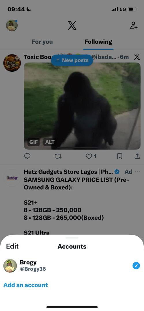 Brogy tweet media