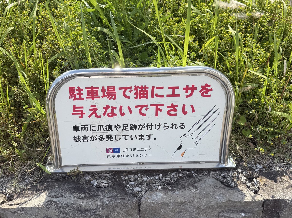 GENTA_una_10's tweet photo. https://t.co/50umZbyfNF