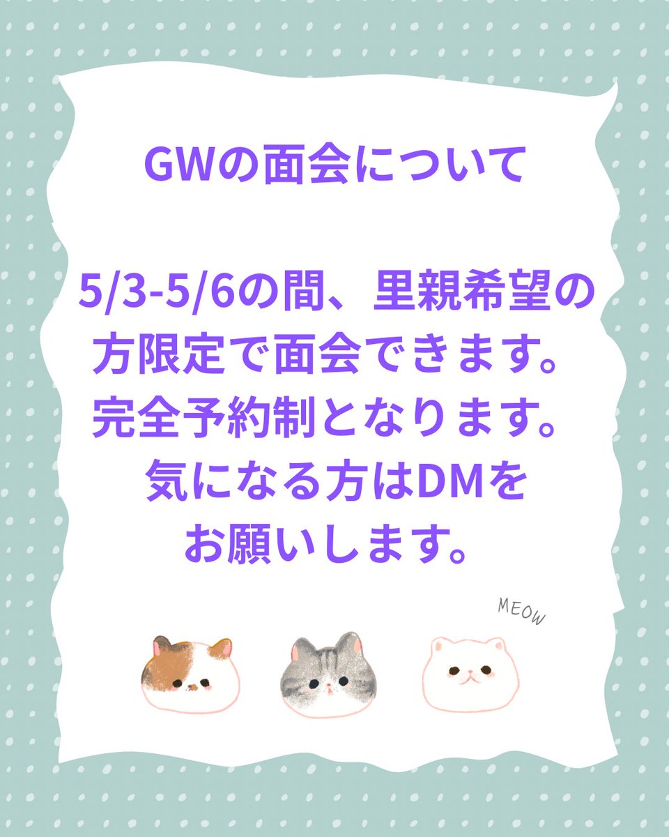 すみパン@5/10(日)譲渡会 tweet media