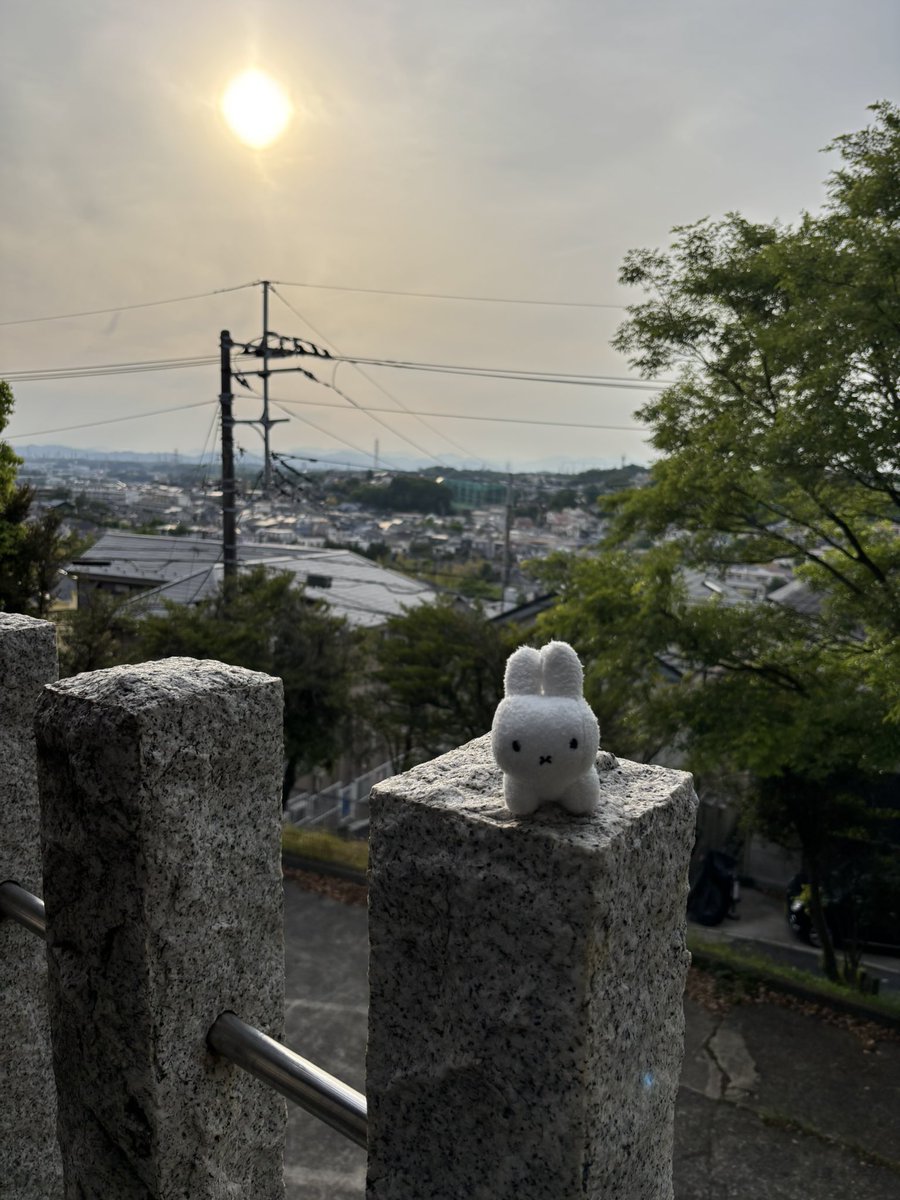 お散歩日和♪ 高石神社にお邪魔しました ️ 狛犬ならぬ狛兎🐇 狛犬さんと撮ると頼もしく見えるね😊 \コマウサッ/ #高石神社 #狛犬 ...