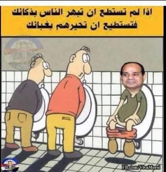 Majed Abed tweet media