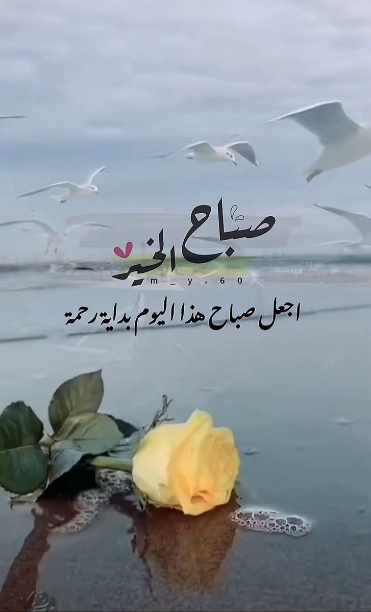 ايمان خضري tweet media