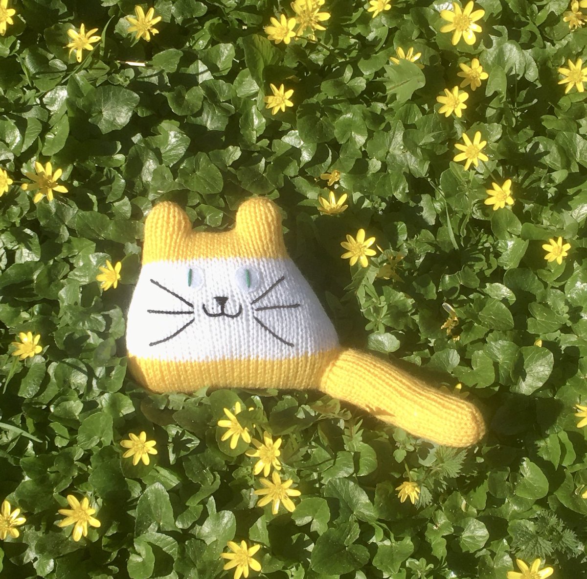 3WoollyOwls's tweet image. Hello May! #shopindie #cat #kitten #catlady #UKGiftHour #UKGiftAM folksy.com/find/shop/thre…