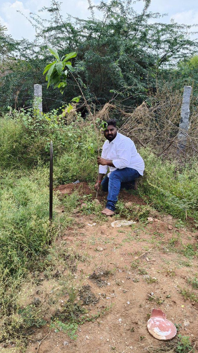 Vijaybalaj5004's tweet image. என் பிறந்தநாள் மற்றும் திருமண நாளை முன்னிட்டு மரக்கன்றுகள் நடப்பட்டது 

@TVKVijayHQ @BussyAnand @soundar4uall @TVKHQITWingOffl @TVKPartyHQ @sivantvkdpi @selvsmbairava @ManiMas81724072 @TVKTAMIL2314 @As11284Vs
#தமிழகவெற்றிக்கழகம்‌ 
#WhistleForTVK #TVKVijay
#TVKFamily