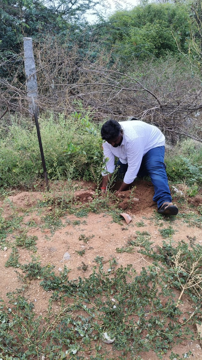 Vijaybalaj5004's tweet image. என் பிறந்தநாள் மற்றும் திருமண நாளை முன்னிட்டு மரக்கன்றுகள் நடப்பட்டது 

@TVKVijayHQ @BussyAnand @soundar4uall @TVKHQITWingOffl @TVKPartyHQ @sivantvkdpi @selvsmbairava @ManiMas81724072 @TVKTAMIL2314 @As11284Vs
#தமிழகவெற்றிக்கழகம்‌ 
#WhistleForTVK #TVKVijay
#TVKFamily