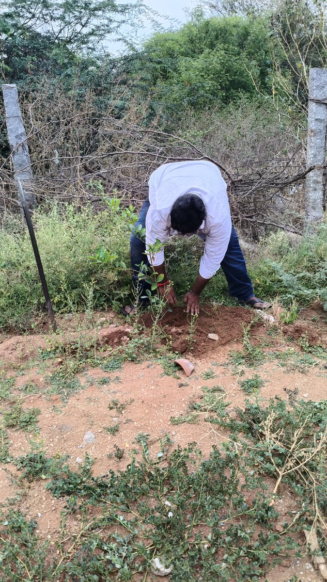 Vijaybalaj5004's tweet image. என் பிறந்தநாள் மற்றும் திருமண நாளை முன்னிட்டு மரக்கன்றுகள் நடப்பட்டது 

@TVKVijayHQ @BussyAnand @soundar4uall @TVKHQITWingOffl @TVKPartyHQ @sivantvkdpi @selvsmbairava @ManiMas81724072 @TVKTAMIL2314 @As11284Vs
#தமிழகவெற்றிக்கழகம்‌ 
#WhistleForTVK #TVKVijay
#TVKFamily