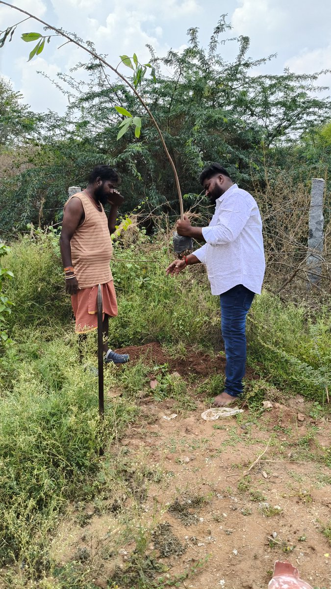 Vijaybalaj5004's tweet image. என் பிறந்தநாள் மற்றும் திருமண நாளை முன்னிட்டு மரக்கன்றுகள் நடப்பட்டது 

@TVKVijayHQ @BussyAnand @soundar4uall @TVKHQITWingOffl @TVKPartyHQ @sivantvkdpi @selvsmbairava @ManiMas81724072 @TVKTAMIL2314 @As11284Vs
#தமிழகவெற்றிக்கழகம்‌ 
#WhistleForTVK #TVKVijay
#TVKFamily