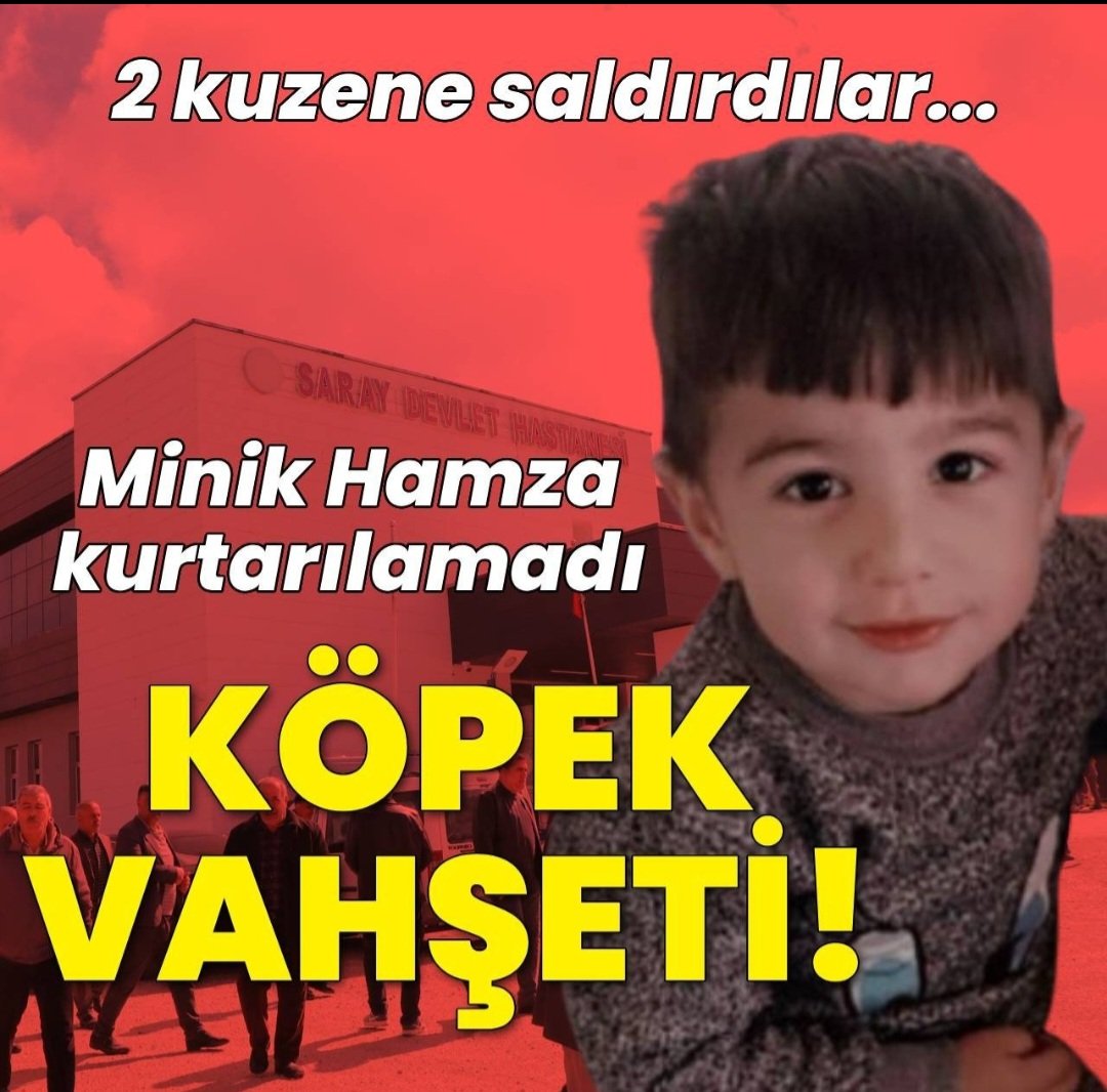 Serdar Arseven tweet media