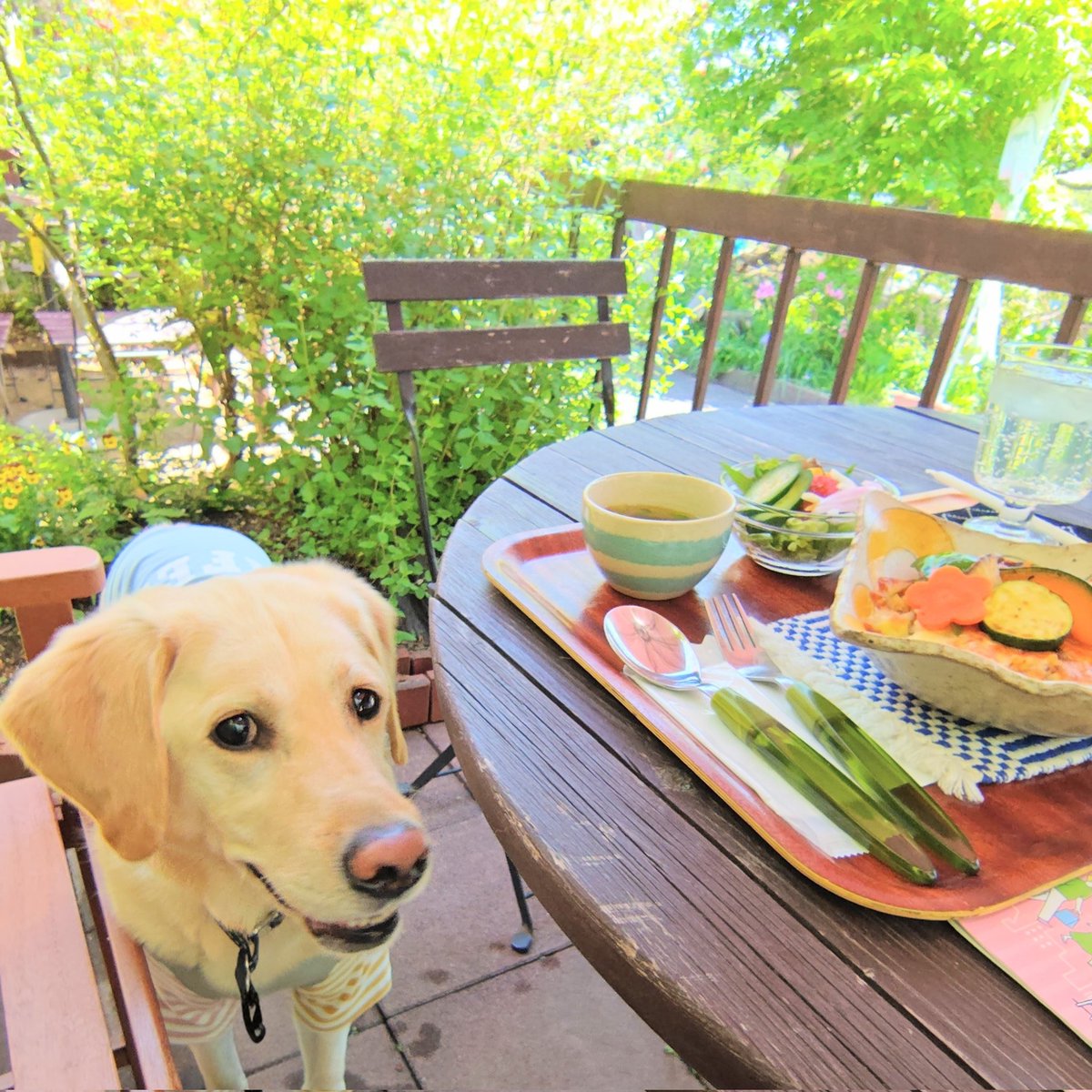 犬と歩けば＿Stone River tweet media