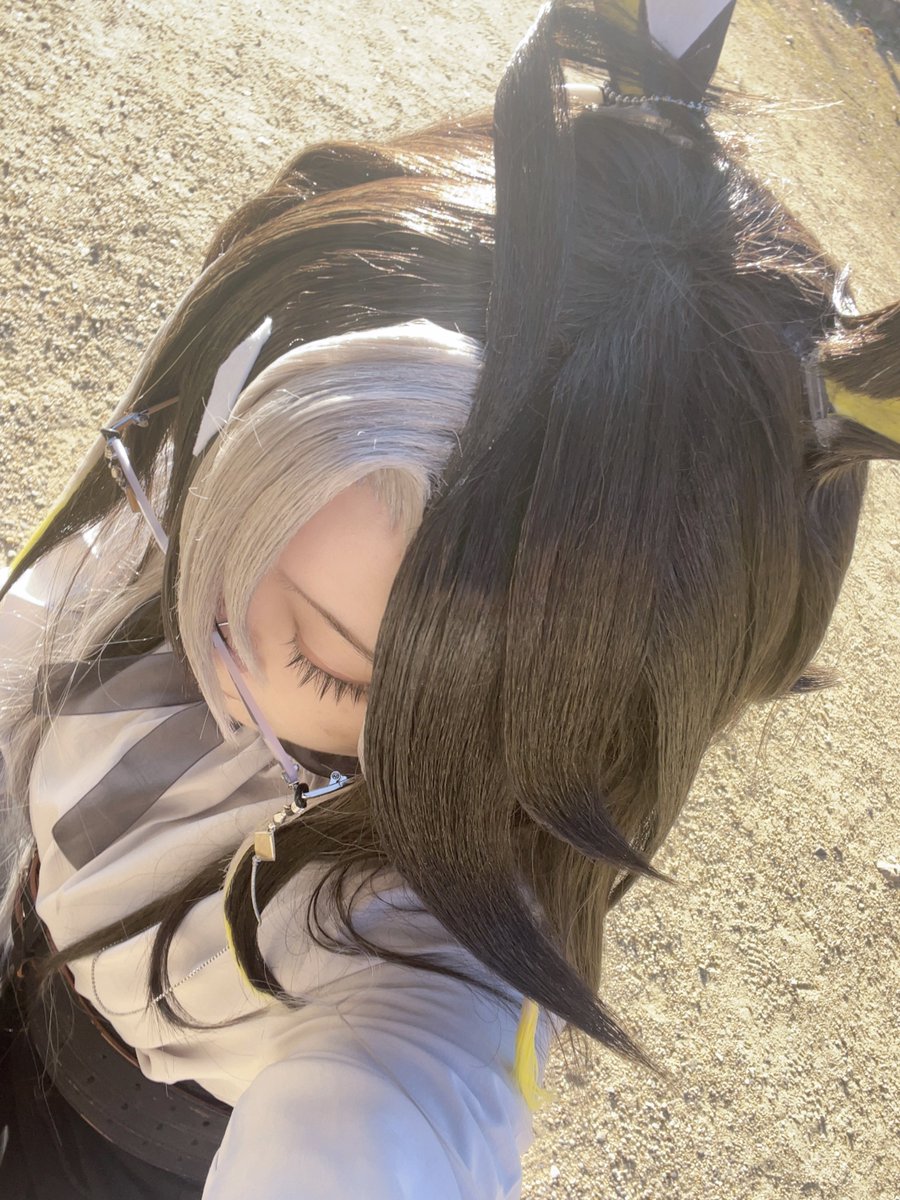 上からみた👓🧳