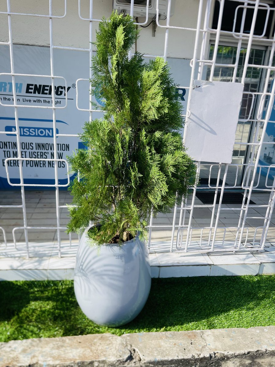 FLORIST /GARDEN DESIGNS ASQAURE HORTI RC:2789504⛴️ tweet media