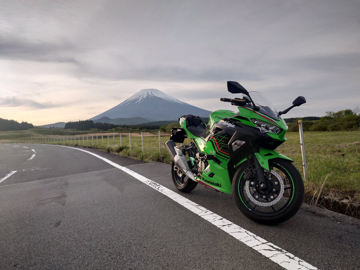 これが噂に聞く富士山ってやつですか?!
by田舎者