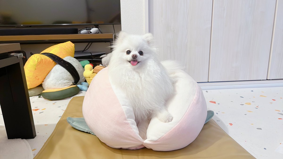 桃から生まれた桃太郎