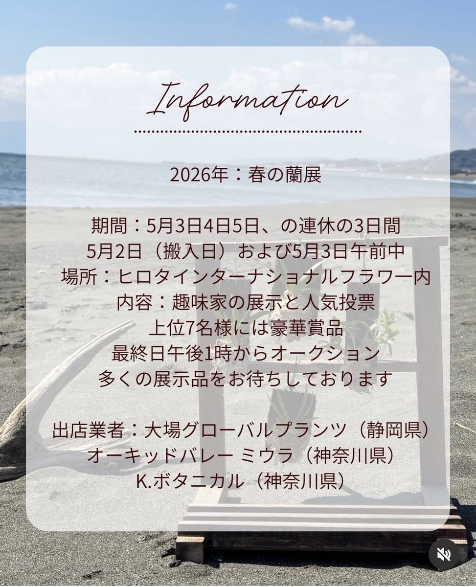 Ohba_GP's tweet photo. 広田さんのセールに参戦します！
展示株は素晴らしい株がたくさん集まっています😳
湘南台駅より徒歩10分
お��軽にお越しください🪴
#洋らん #ご蘭なさい #湘南台 https://t.co/x1qRUI2a5u