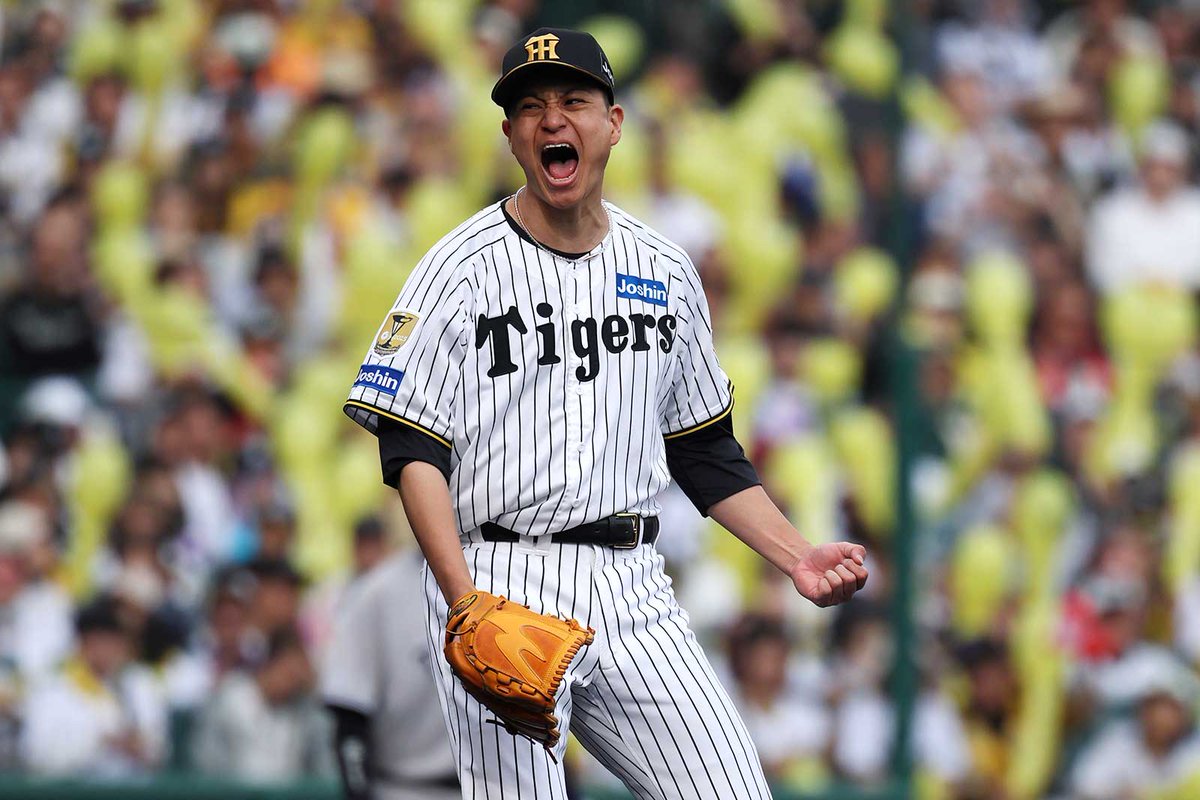 阪神タイガース tweet media