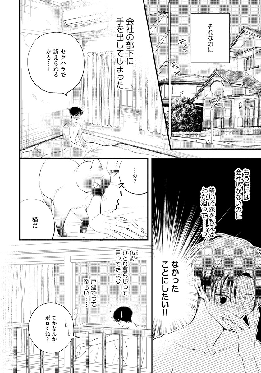 Daria(ダリア) tweet media