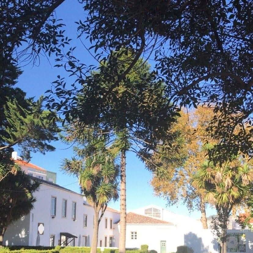 MnicaRe82771772's tweet photo. Manhรฃs d'Arruda๐ณ
Bom dia fregueses!
Sรกbado feliz e inspirador ๐ฉท
#bomdia #arrudadosvinhos #valeencantado #portugal #visitus #followus #arruda #ourplace https://t.co/TTh3S0qukm