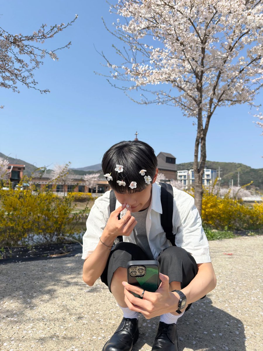 다소니 tweet media