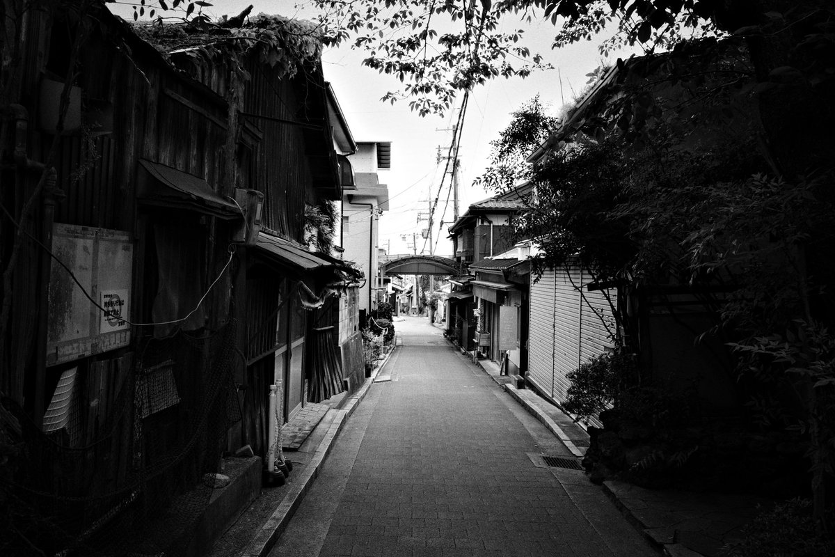 wao_camera's tweet image. 清荒神参道

GRⅣ monochrome
#GR4monochrome #SnapShot 
#monochrome 
#streetsnap