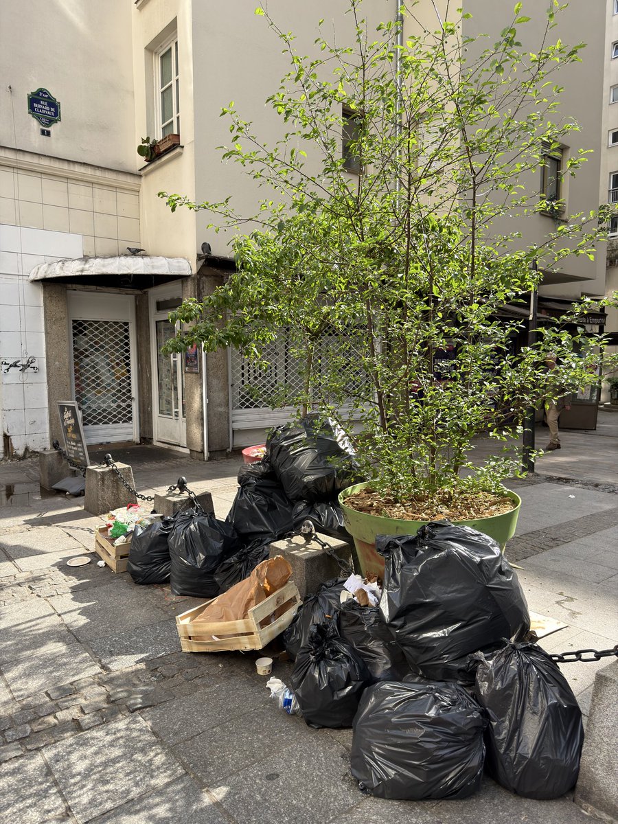 11 heures ce samedi matin et les dépôts sauvages des bars restaurant atteignent déjà des sommets rue Saint Martin. Les riverains rêvent qu’un jour <a href="/ArielWeilT/">Ariel Weil</a> <a href="/MParisCentre/">Mairie de Paris Centre</a> interdisent les dépôts sauvages et que <a href="/PMdeParis/">Police Municipale de Paris</a> verbalise 🙏