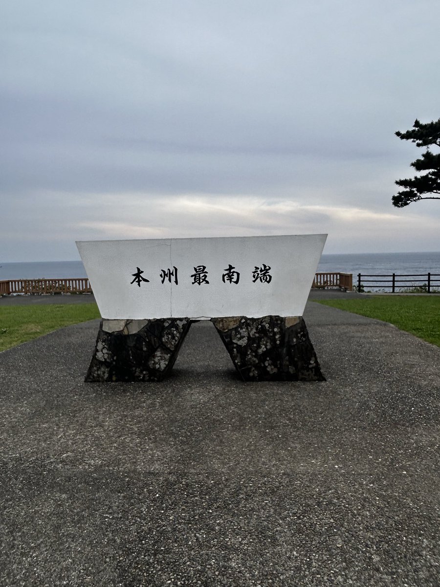 コペチキ tweet media