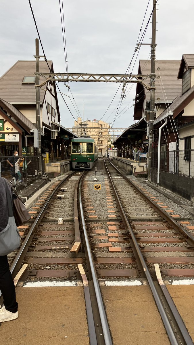 林檎@梨派 tweet media
