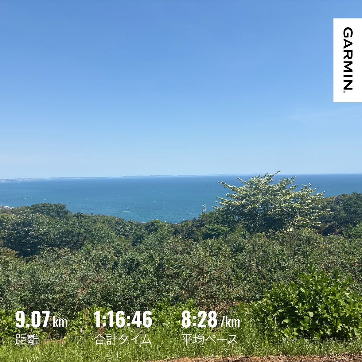 あんきなこまる@5/17野辺山ウルトラ68km tweet media