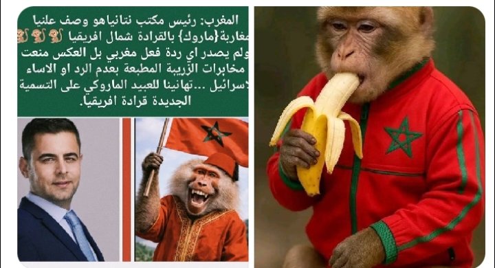 إبراهيم الجزائري tweet media