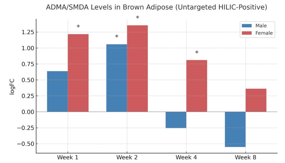 KulikovUNIATF's tweet image. New research @CureusMedical shows that endurance #exercise affects protein breakdown differently depending on the tissue type and the sex of the individual. 

Analyzing data from a large public research project, scientists found that training 🏃‍♂️ changed levels of two molecules