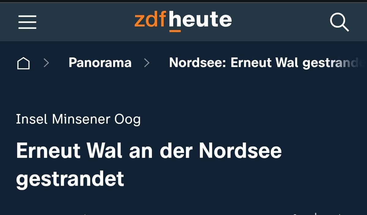 Jack Dingenskirchen 🏝️ tweet media