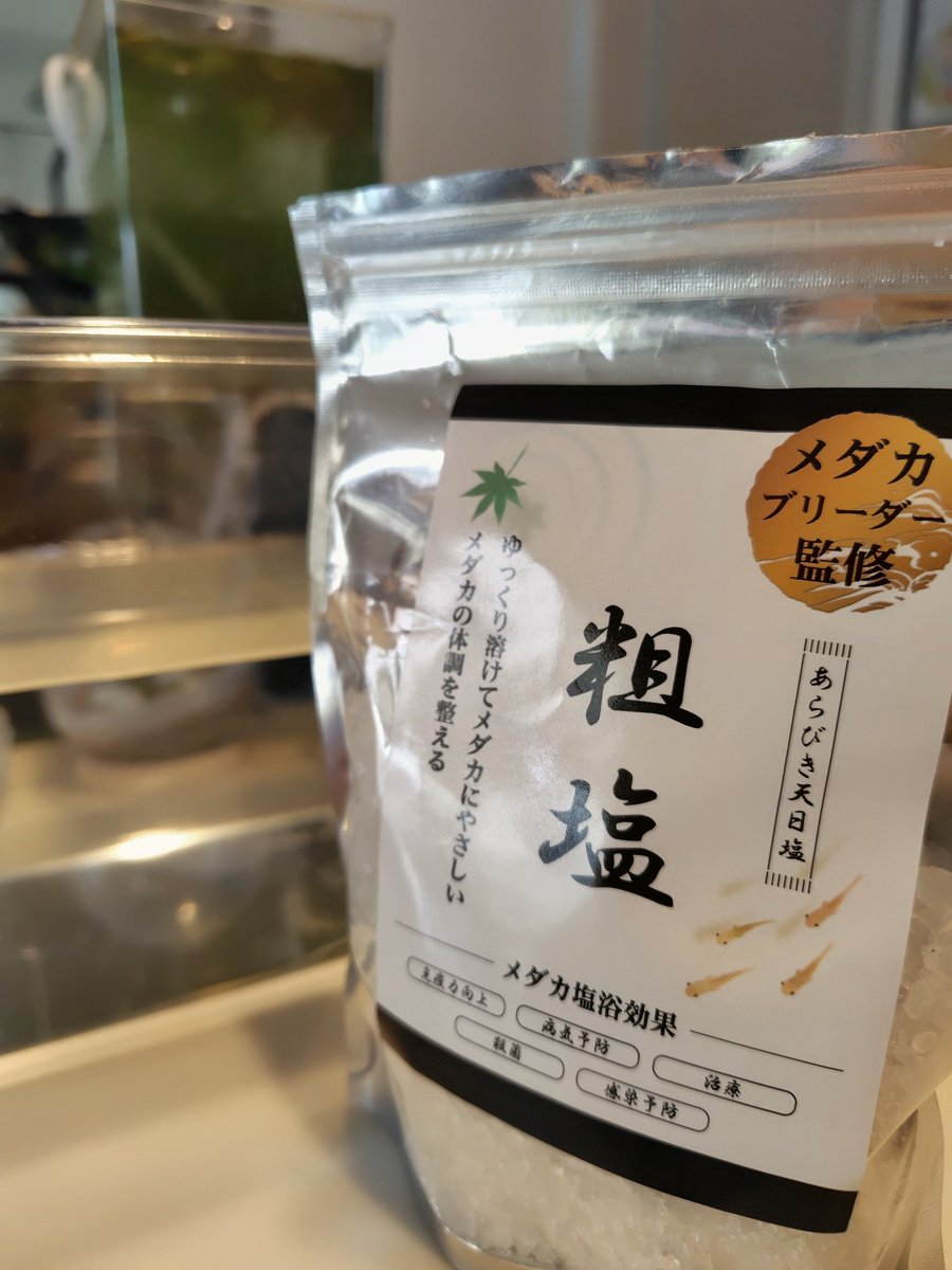 なぎ｜水槽といっしょに成長中 tweet media