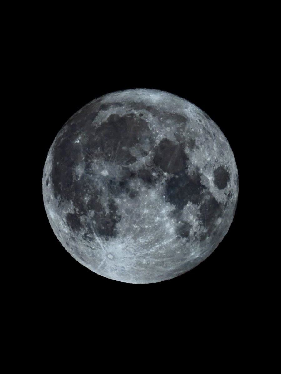 solanova_X's tweet photo. 今夜はフラワームーン🌕

5月の満月は、フジやネモフィラなど彩り豊かな花が咲く季節に由来します💐

ところで、今月末も満月です😳
しかも一年で最も小さく見える満月です‼︎
5／31(日)、お見逃しなく🔍

#フラワームーン #満月 #5月 #花盛り 
#ブルームーン #ミニマムムーン 
#天文 #宇宙 https://t.co/VRjUfDelFg