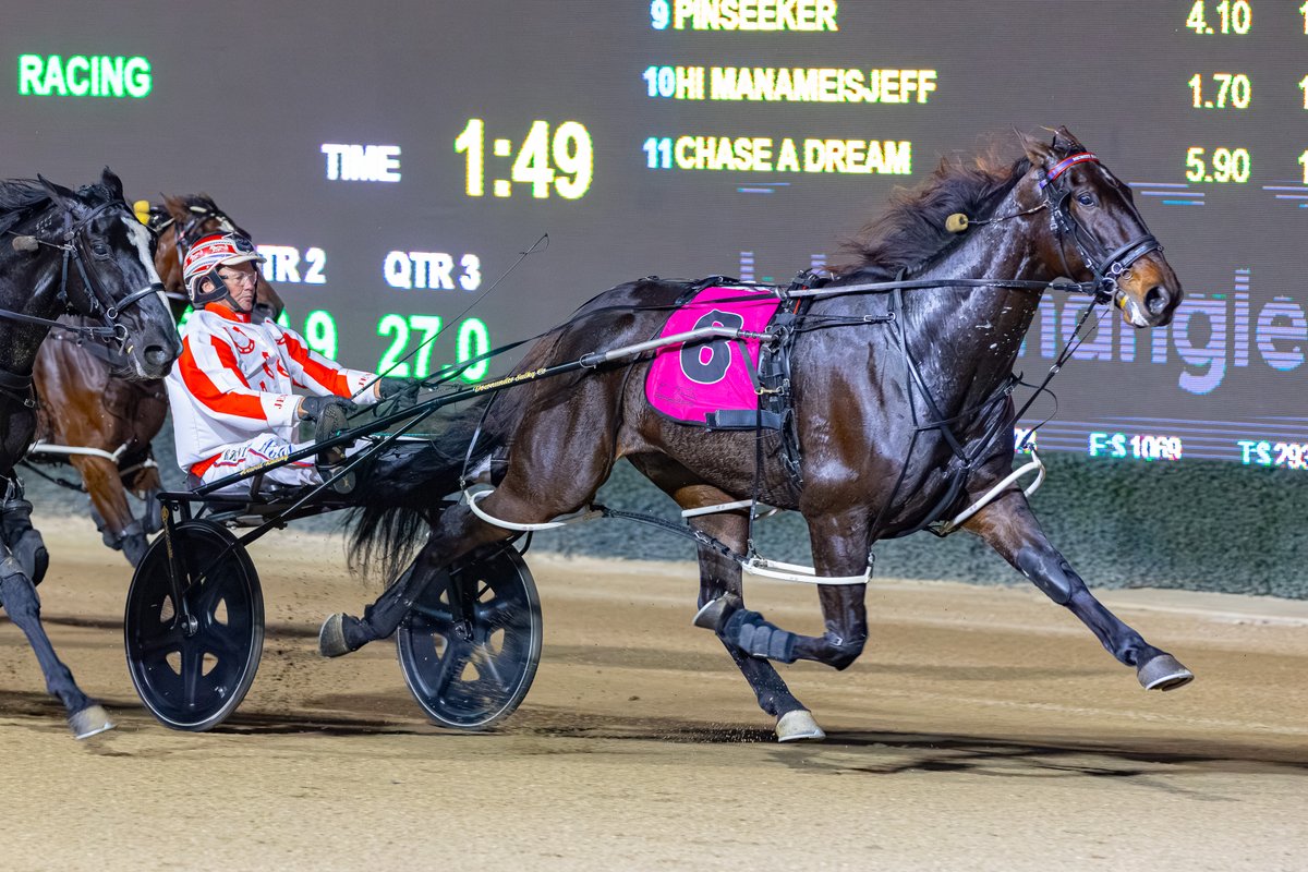 Club Menangle tweet media