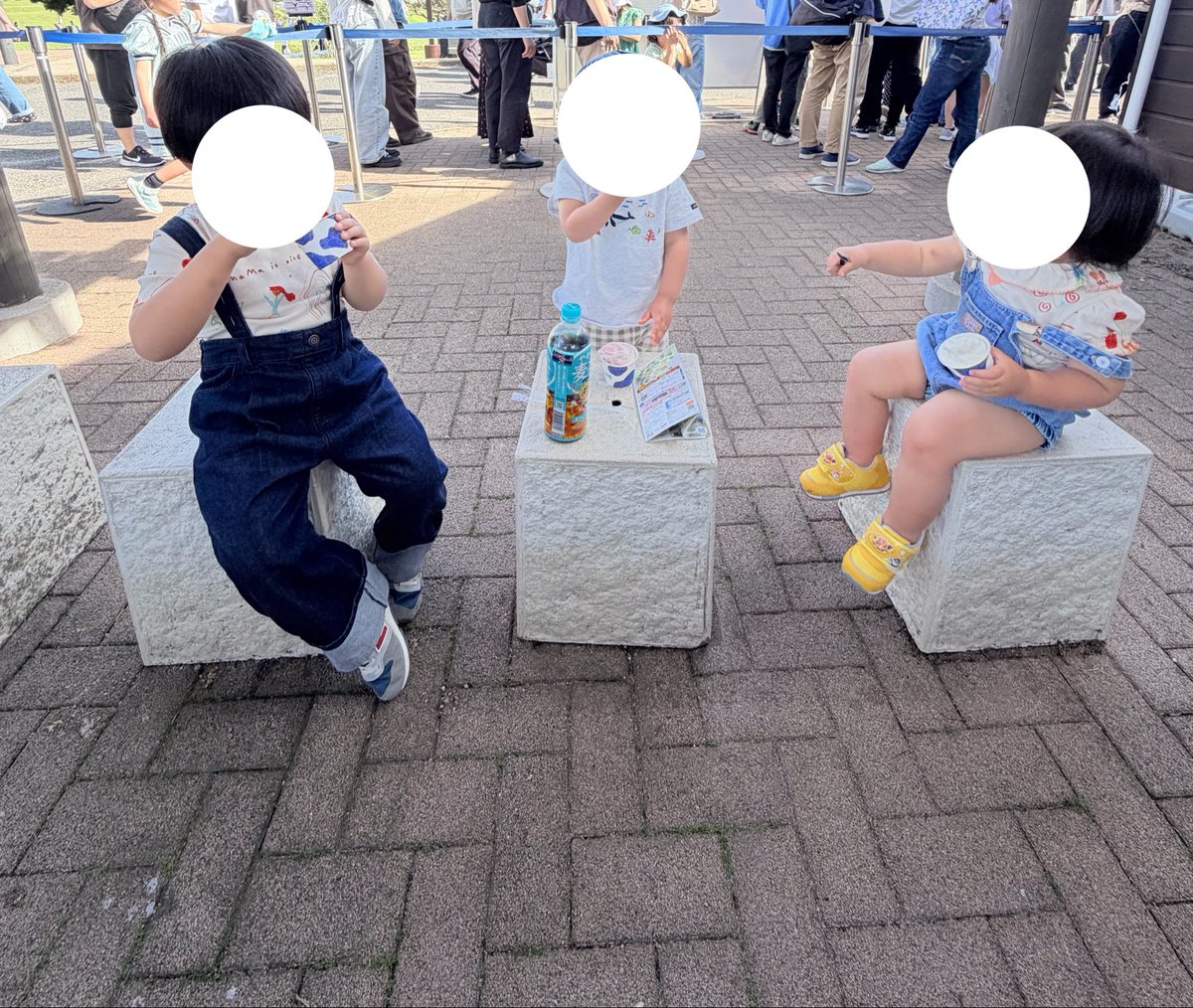 あ か り ® ４ｙ ＋ ２ｙ tweet media