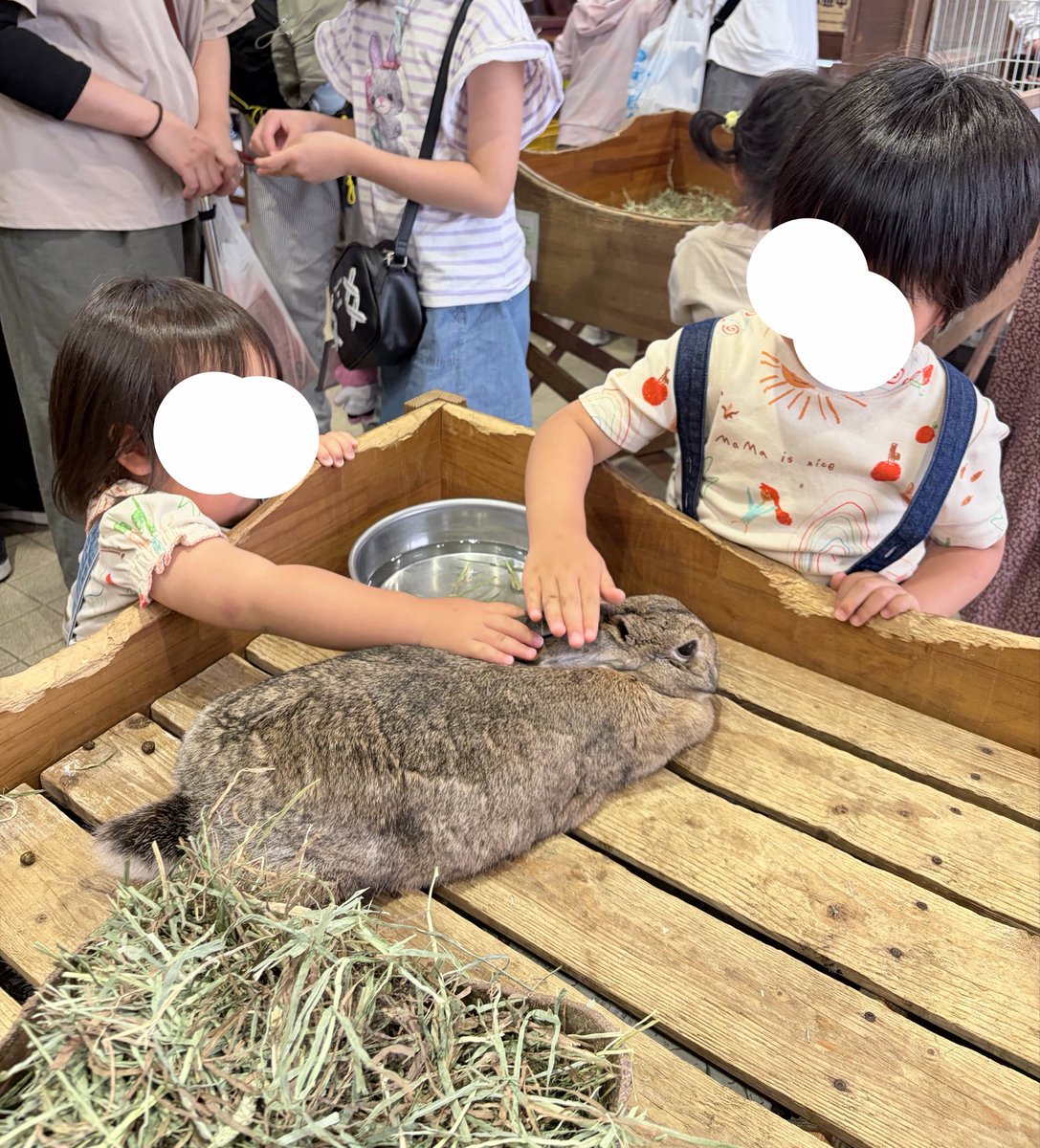 あ か り ® ４ｙ ＋ ２ｙ tweet media
