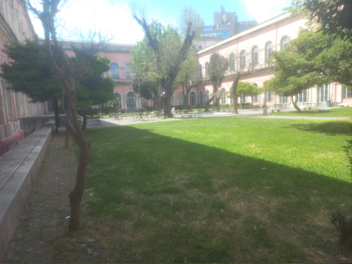 alimustafaayhan's tweet photo. TEK BİR kişi bile görmedim yirmi dkdır. şaka gibi. selanikten gelip derdest mi ettiler hepinizi? https://t.co/kXd43SNh2W