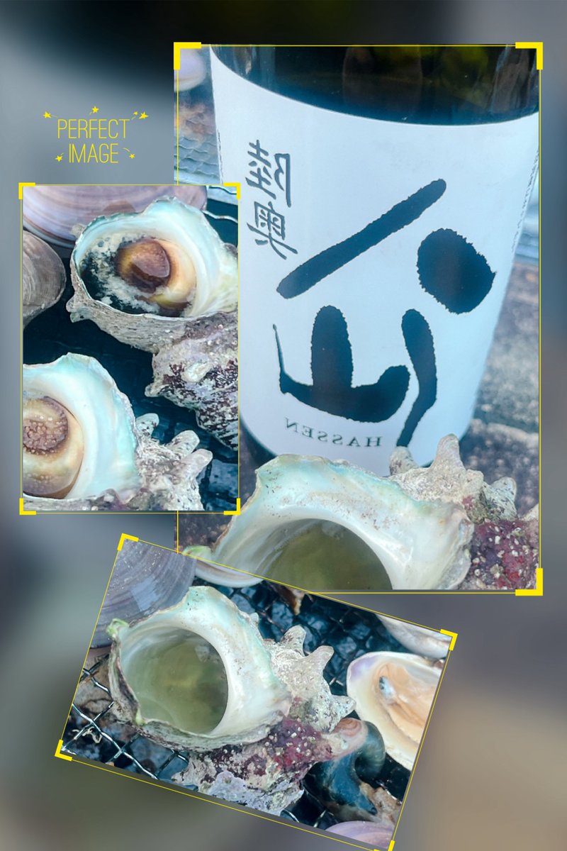 321koko's tweet photo. GWの醍醐味　明るいうちから裏八仙でサザエ酒🍶 https://t.co/ei4d3d1Fj7