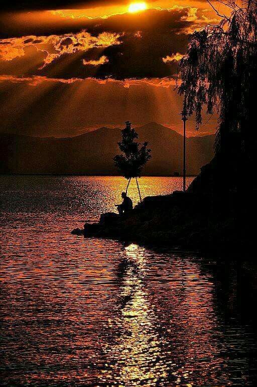 angelicaio81153's tweet image. The best remedy for those who are afraid , lonely or unhappy is to go outside , somewhere where they can be quite alone with nature , heaven and God . 🌻🌳

Anne Frank 

Life on Water 

Fisherman in Velvet Sunset 
#artistic #landscape #photography