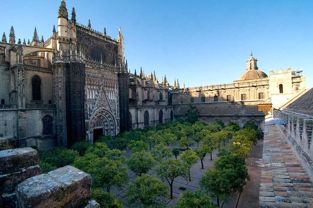 El Cicerone de Sevilla tweet media