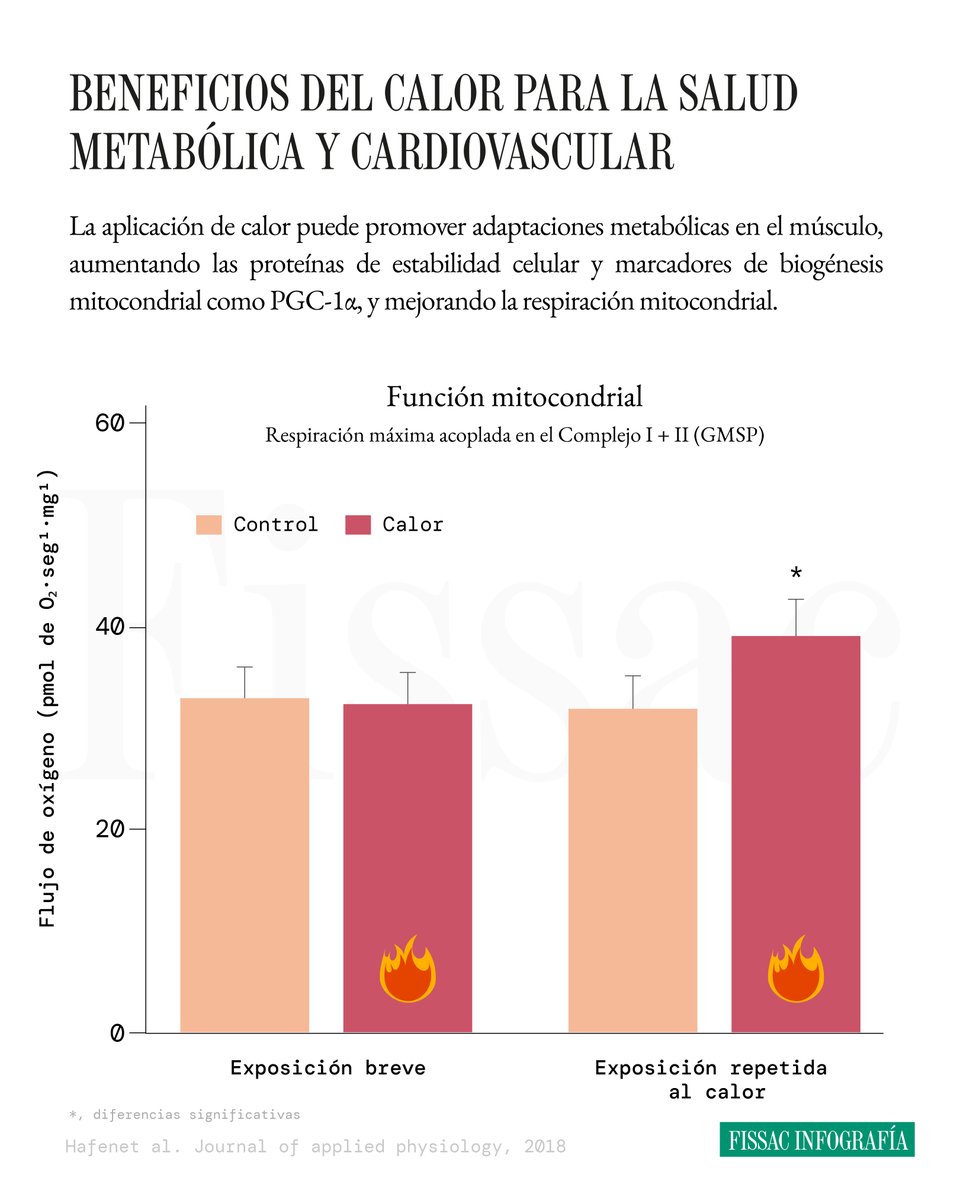 Fissac_es's tweet photo. 🔥 El calor como estrategia para mejorar la función mitocondrial

Cuando pensamos en estrategias para mejorar la salud metabólica, lo primero que nos viene a la mente es el ejercicio físico. Pero… ¿y si hubiera otras formas de potenciar nuestras mitocondrias?

Algunas investigaciones han explorado los efectos del calor localizado, y los resultados son llamativos.

Por ejemplo, un estudio en sujetos sanos aplicó diatermia en el vasto lateral 2 horas al día durante una semana. Lo interesante es que, en tan poco tiempo, esta intervención no solo aumentó proteínas clave para la estabilidad celular (como las proteínas de choque térmico o heat shock proteins), sino que también activó vías de biogénesis mitocondrial como PGC-1α y mejoró la respiración mitocondrial en un 28%.

👉 Además, otros estudios han observado mejoras similares tras 6 semanas de diatermia en el cuádriceps (+25%), en comparación con el mismo período de entrenamiento del músculo (+28%).

La sauna o los baños de agua caliente, además de ser estrategias muy efectivas para relajarse, pueden ser también potentes intervenciones para provocar beneficios a nivel cardiovascular.

✍️ En este audio-artículo, el Dr. Pedro L. Valenzuela analiza la evidencia epidemiológica en torno al uso de estas estrategias térmicas para la reducción de enfermedades cardiovasculares, así como diferentes protocolos para mejorar la salud cardiovascular y mitocondrial.

🧖🏻 P. D.: Ideal para leer o escuchar en una sauna.

Puedes hacerlo pinchando en el link 👇
https://t.co/a8nqJfnfO0
