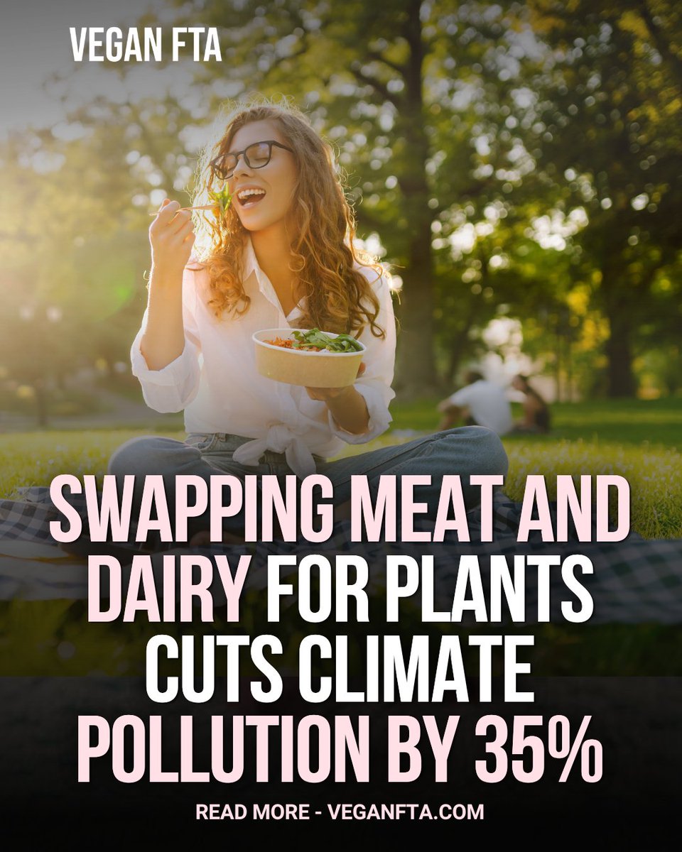 teamveganfta's tweet image. New research from the Physicians Committee for Responsible Medicine has found that replacing meat and dairy with plant‑based foods can cut diet‑related greenhouse gas emissions by 35%. 📉

Read the full article 👇
veganfta.com/articles/2026/…

#climatecrisis #climatechange #emissions