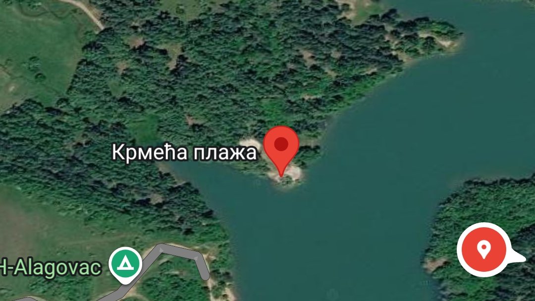 Forest People tweet media