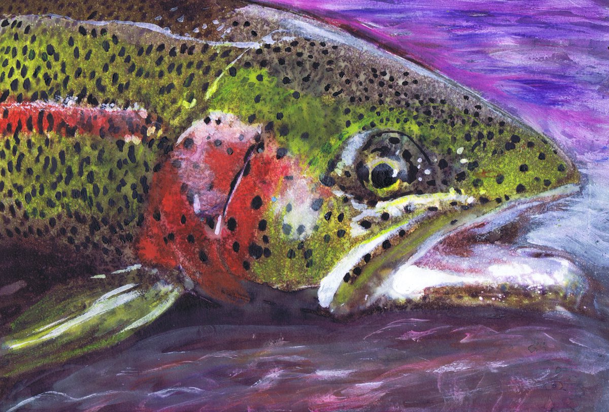 OscarJetson's tweet image. Twilight Waters – Rainbow Trout Fly Fishing Art Print by Jack Tarpon dogfishart.com/products/rainb… #painting #art #OscarJetson #WildlifeWallArt
