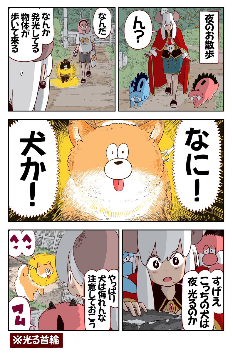 犬は夜 光る✨ 