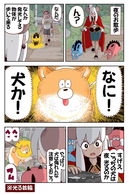 犬は夜 光る✨ 