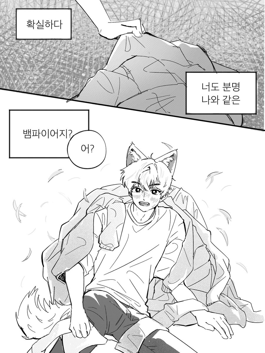샨마오미 tweet media