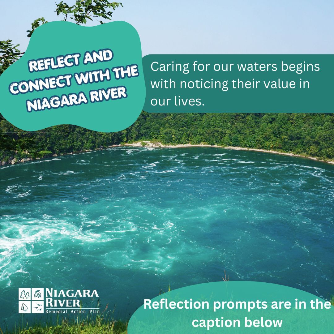 Niagara River RAP (Canada) tweet media