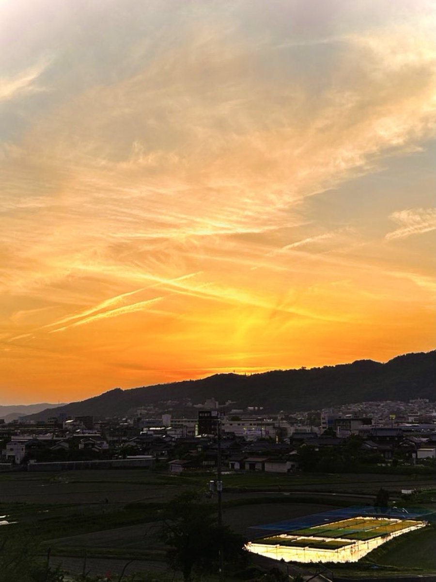 ながい本部長 (@nagaifighter) / Posts / X