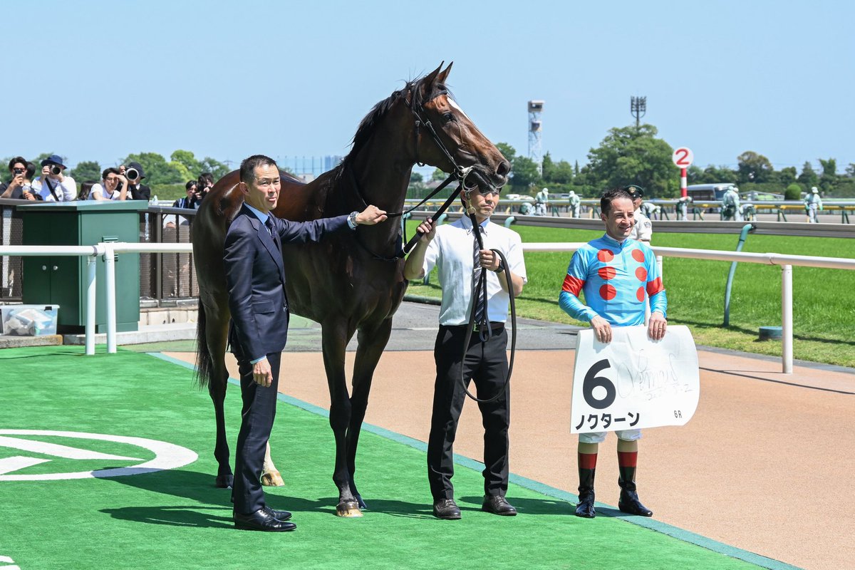 SILKHCofficial's tweet photo. 【今日の1枚】@東京競馬場

晴天の府中で惜敗続きにピリオドを打った #ノクターン

力強く脚を伸ばし、1:58.1の好タイムをマーク！
手綱を取ったC.ルメール騎手も『まだまだ伸びしろがある』と話していましたから、さらに成長した姿が楽しみですね😊

皆様おめでとうございました⭐️

#silkhc
#東京競馬場